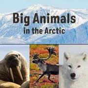 Big Animals in the Arctic