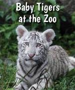 Baby Tigers at the Zoo