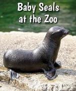 Baby Seals at the Zoo