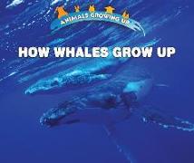 How Whales Grow Up