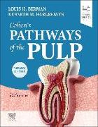 Cohen's Pathways of the Pulp