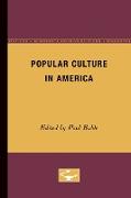 Popular Culture in America