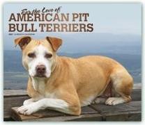 American Pit Bull Terriers - For the love of 2021 - 18-Monatskalender