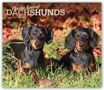 Dachshunds - For the love of 2021 - Dackel