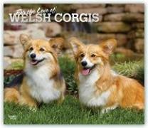 Welsh Corgis - For the love of 2021 - 18-Monatskalender mit freier DogDays-App