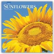 Sunflowers 2021 Square