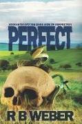 Perfect: A Collection of Short Stories about the Dark Side of Perfection