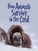 How Animals Survive in the Cold: English Edition