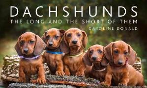 Dachshunds