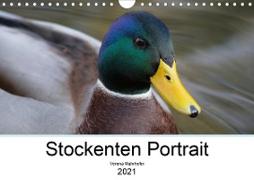 Stockenten Portrait (Wandkalender 2021 DIN A4 quer)