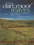 The Dartmoor Reaves: Investigating Prehistoric Land Divisions