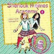 Sherlock Holmes Academy 02. Geheimcode Katzenpfote