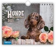 Notizkalender Hunde 2021