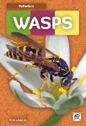 Wasps