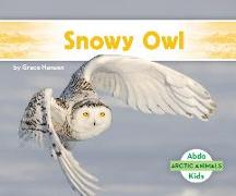 Snowy Owl