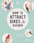 How to Attract Birds to Your Garden