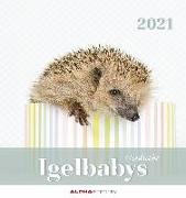 Igelbabys 2021 - Postkartenkalender