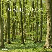 Wald 2021 - Broschürenkalender 30x30