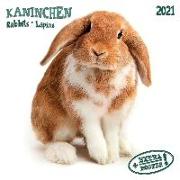 Rabbits/Kaninchen 2021