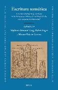 Escritura Somática: La Materialidad de la Escritura En Las Literaturas Ibéricas de la Edad Media a la Temprana Modernidad