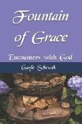 Fountain of Grace: Encounters with God