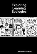 Exploring Learning Ecologies