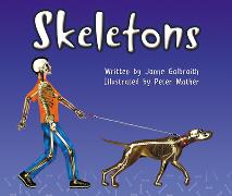 Skeletons (10)