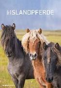 Islandpferde 2021 - Bild-Kalender A3 (29,7x42 cm) - Icelandic Horses - Tier-Kalender - Wandplaner - Alpha Edition