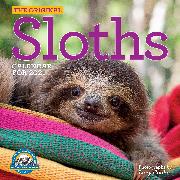 Original Sloths Wall Calendar 2021