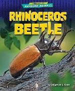 Rhinoceros Beetle