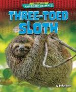 Three-Toed Sloth