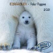 Eisbären - Polar Bears - Ours Polaires 2021. Artwork Edition