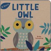 Little Owl