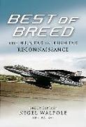 Best of Breed: The Hunter in Fighter Reconnaissance