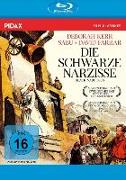 Die schwarze Narzisse