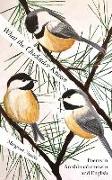 What the Chickadee Knows
