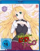 High School DxD Hero