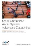 Small Unmanned Aerial System Adversary Capabilities