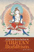 A Concise Introduction to Tibetan Buddhism