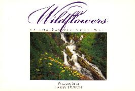 Wildflowers of the Pacific Northwest: Twenty Postcards