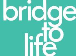 Bridge to Life (Green) 25-Pack
