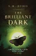 The Brilliant Dark: The Realms of Ancient, Book 3