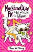 Marshmallow Pie The Cat Superstar in Hollywood