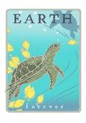 Green Sea Turtles: Earth Forever (Boxed): Boxed Set of 6 Cards