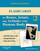 Flashcards for Bones, Joints, and Actions of the Human Body