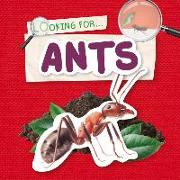 Ants