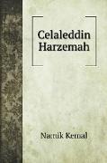 Celaleddin Harzemah