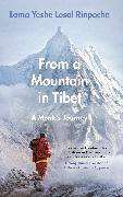 From a Mountain In Tibet