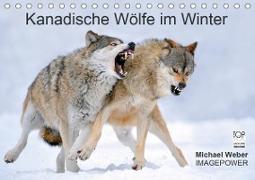 Kanadische Wölfe im Winter (Tischkalender 2021 DIN A5 quer)