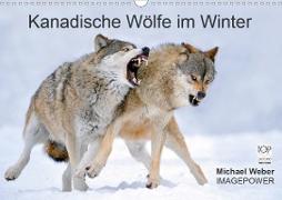 Kanadische Wölfe im Winter (Wandkalender 2021 DIN A3 quer)